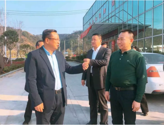 懷化市長雷紹業一行蒞臨我司檢查指導工作