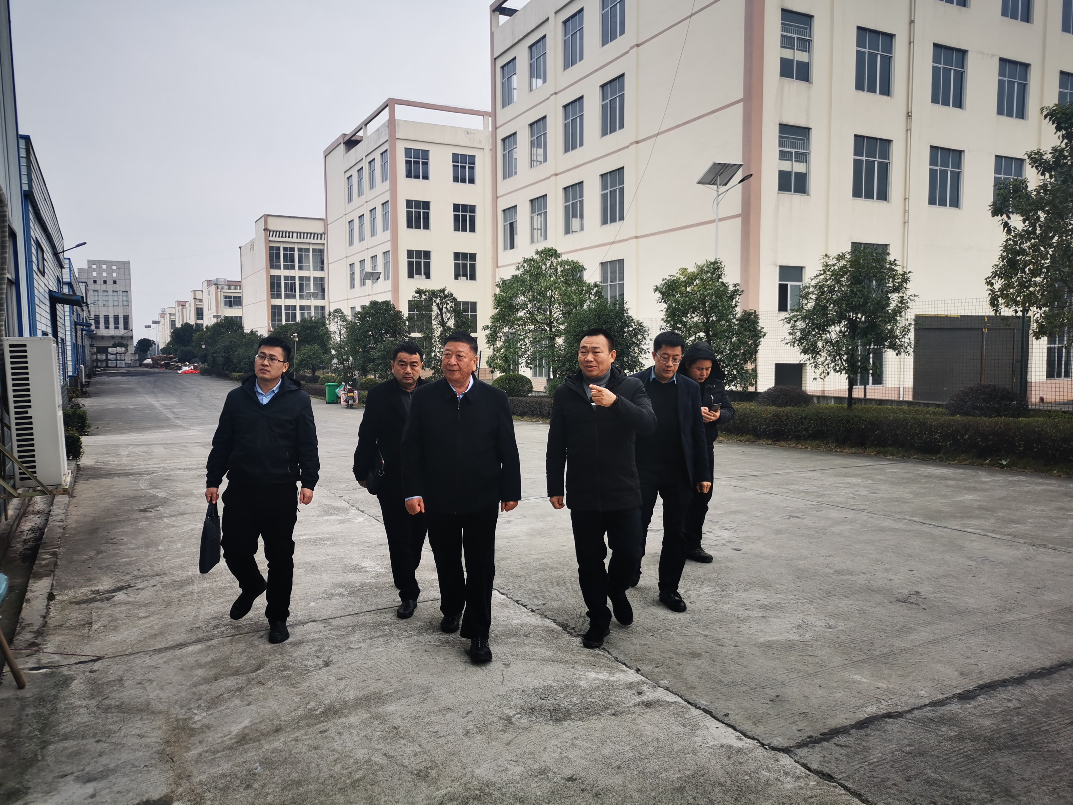 中國林業物資有限公司領導一行蒞臨我司調研指導工作